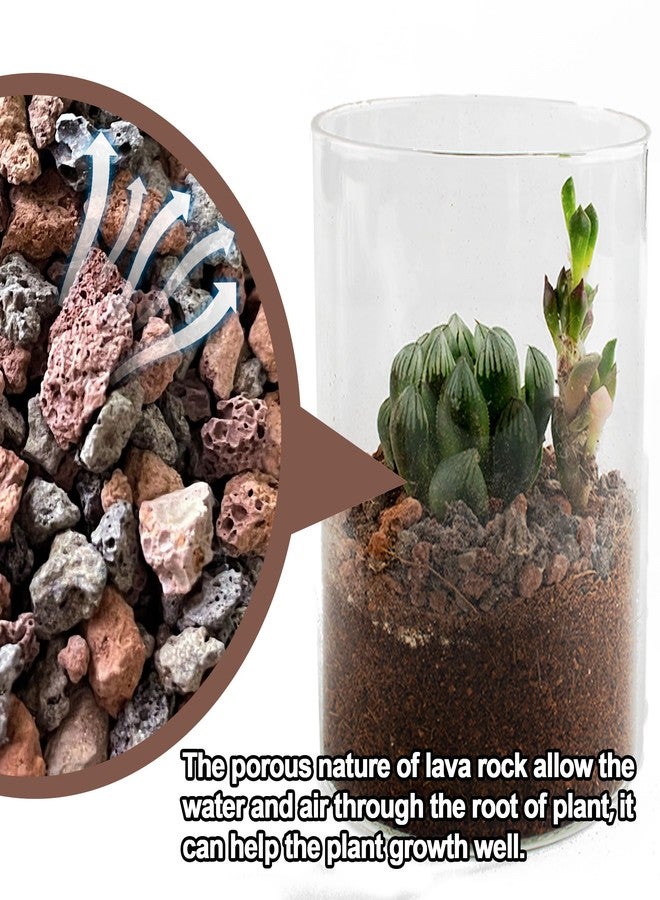 CJGQ 3lb Lava Rocks for Plants - Horticultural Volcanic Gravel for Drainage in Succulents, Bonsai, Terrariums and Landscaping - Image 5